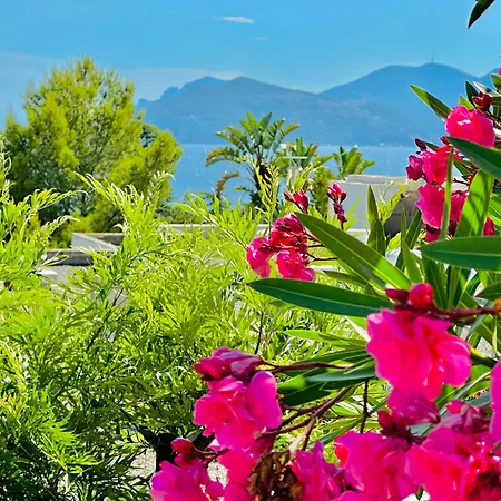 Luxurious Privacy - 130M2 Entire Floor, Pool, Parking, Ac - 5' Croisette - Plage Des Sports *